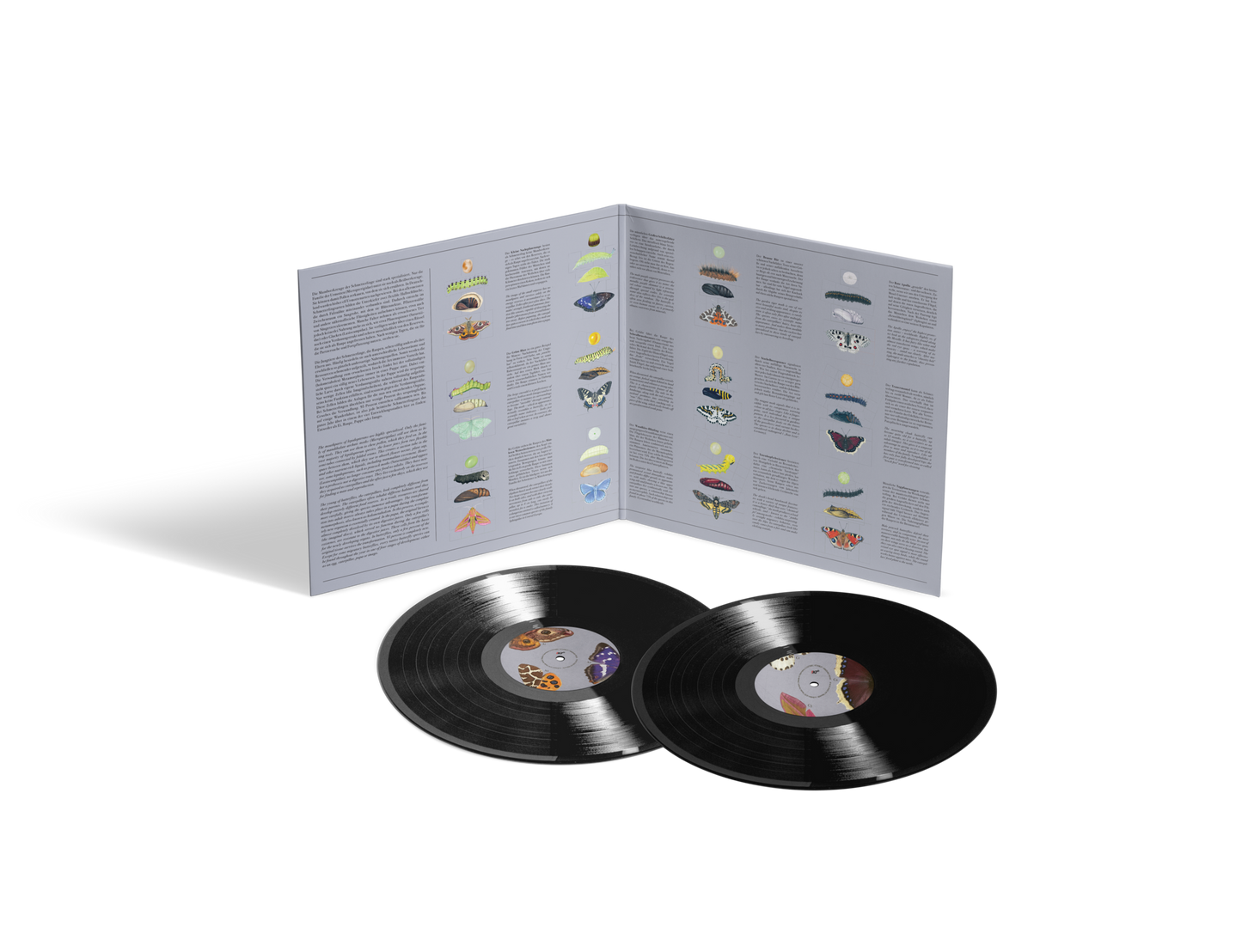 Lepidoptera LP - 2-fach Vinyl, Klappcover - VORBESTELLUNG