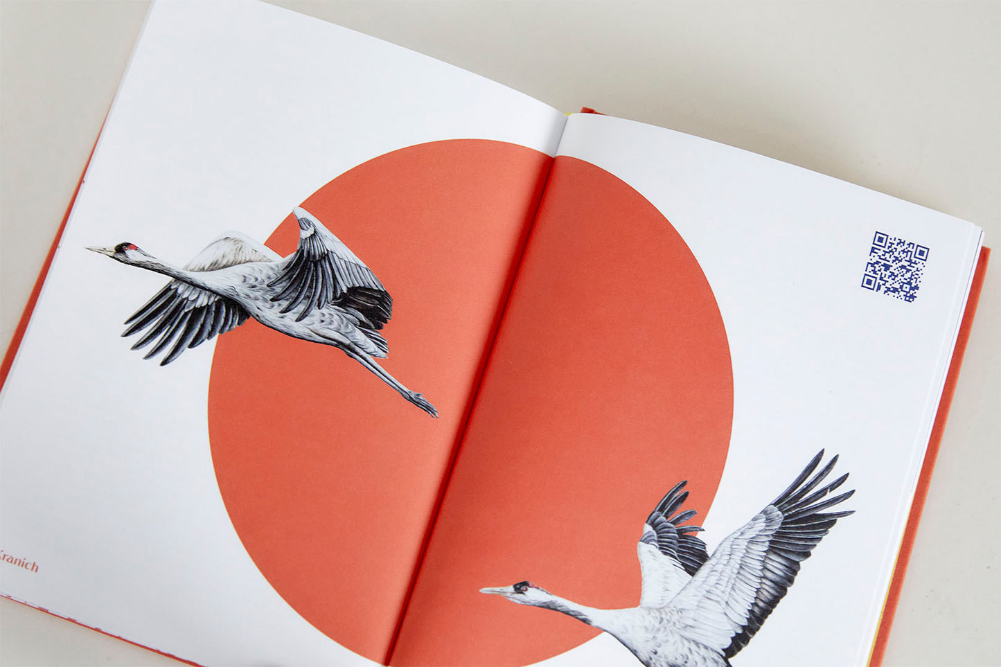 Prachtliebe & Wunderfakten - Buch - Signiert - VORBESTELLUNG