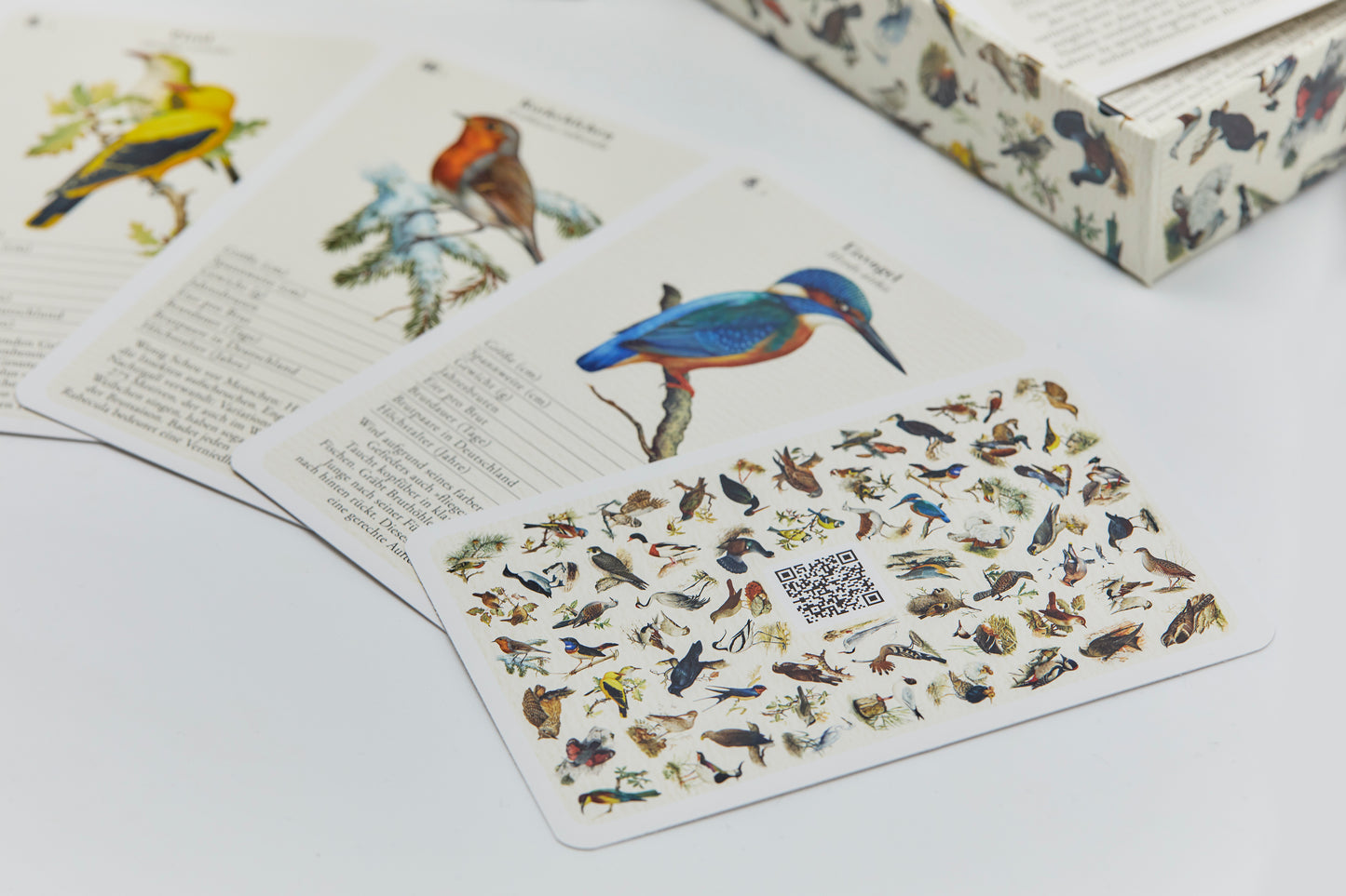 Fliegende Edelsteine – Das Vogelquartett