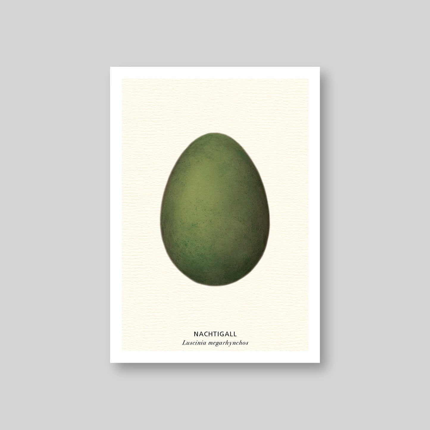 7-er Postkarten Set Vogeleier