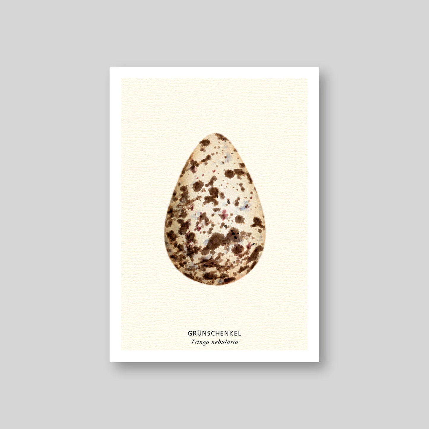 7-er Postkarten Set Vogeleier