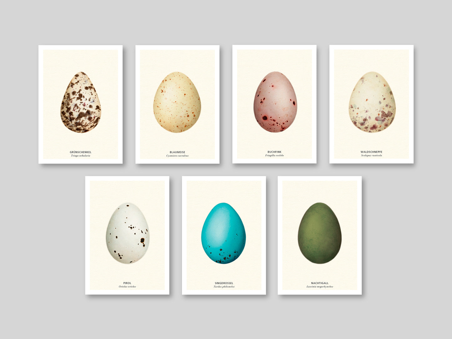 7-er Postkarten Set Vogeleier