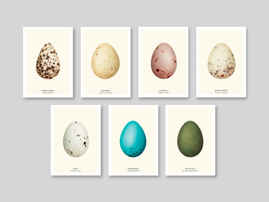 7-er Postkarten Set Vogeleier