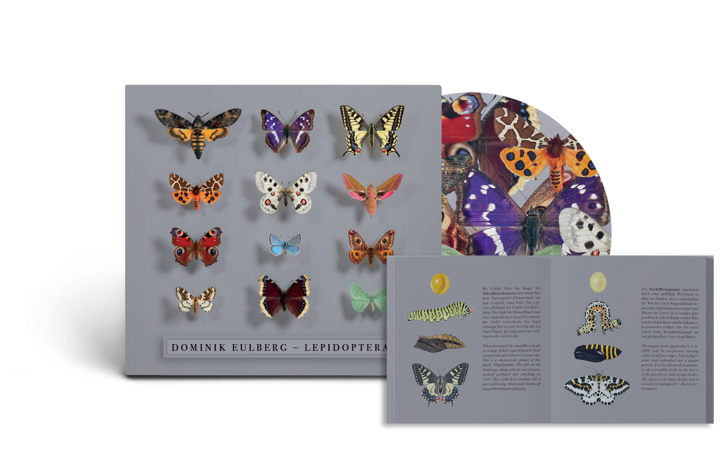 Lepidoptera CD - im Digipack, inkl. Booklet - VORBESTELLUNG